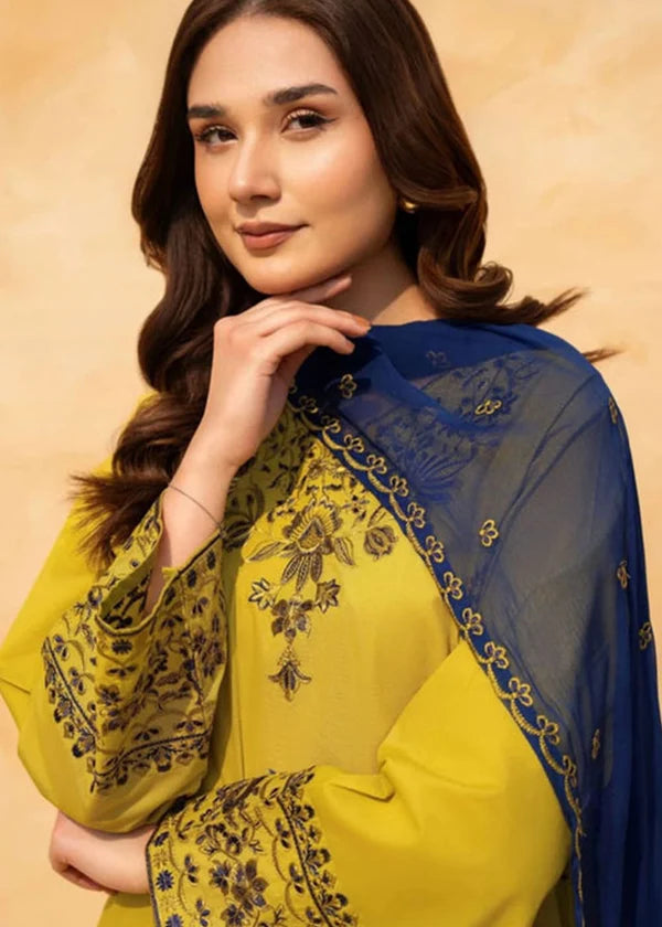 3 Pcs | Embrioderd Suit