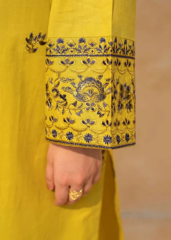 3 Pcs | Embrioderd Suit