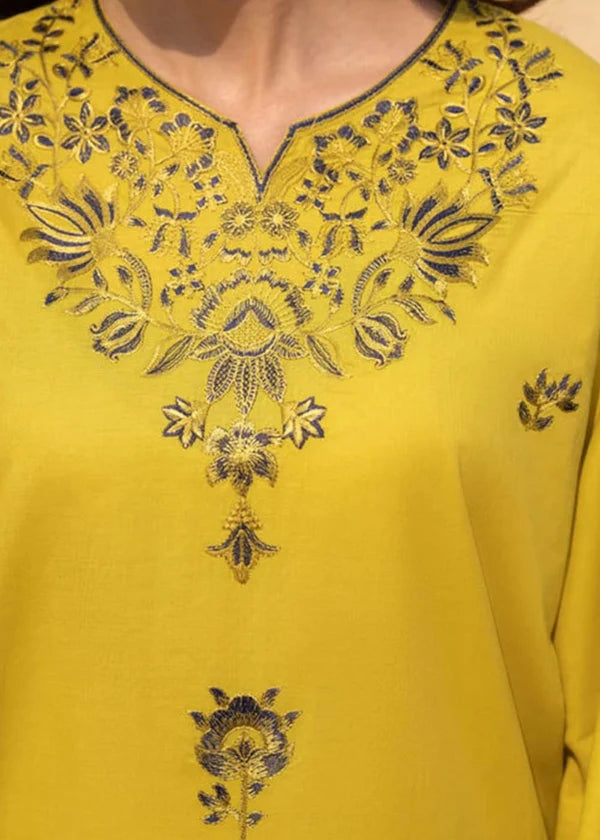 3 Pcs | Embrioderd Suit